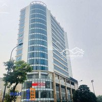 Bql Cho Thuê Văn Phòng Tòa Sao Mai Building Lê Văn Lương Thanh Xuândiện Tích98 - 450M2 Giá 211.152K