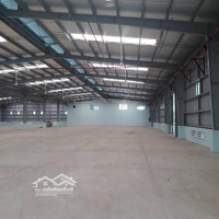Cho Thuê Kho Xưởng Siêu Vip 5000M2 Trong Kcn Tân Phú Trung, Xã Tân Phú Trung, H. Củ Chi.