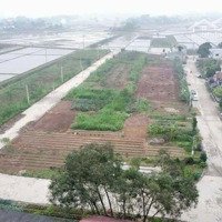 Chính Chủ Gửi Bán Lô Đấu Giá Yên Lý Phúc Sơn Tân Yên Bắc Giang