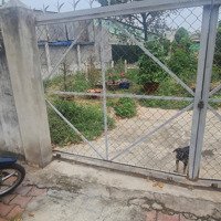Cần Bán Lô Đất Mặt Tiền Đường Phạm Thị Tân Phường Phú Lợi