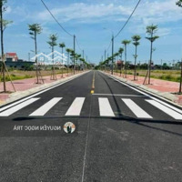 Bán Đất Đấu Giá Quất Lâm 105M Mặt Tiền 6M Giá Chỉ 1.X Tỷ