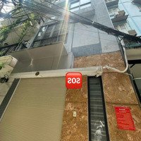 Cho Thuê Nhà Nguyên Căn Phố Đội Cung, 17 Triệu Vnd, 30M2, 3 Phòng Ngủ 4 Vệ Sinh Đẹp Và Tiện Ích