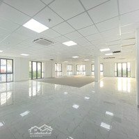 Gấp! Mặt Tiền Bàu Cát Khu Sầm Uất, Quận Tân Bình, 10X20M Hầm Trệt Lửng 6 Lầu.