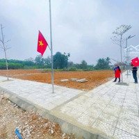 Bất Động Sản Ven Khu Công Nghiệp Lam Sơn - Sao Vàng