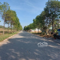 Bán Đất Tại Tỉnh Lộ 750, Thị Trấn Lai Uyên, Bàu Bàng, Bình Dương, 800 Triệu, 500 M2, Đầu Tư Trọ.