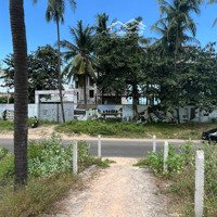 Bán Đất Mặt Tiền Đường Mặt Biển Huỳnh Thúc Kháng, Hàm Tiến, Phan Thiết, Bình Thuận, 7,9 Tỷ, 214 M2