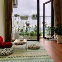 Nhà Mình Cho Thuê Căn Hộ Full Đồ Chung Cư Đồng Phát Parkview, Giao Nhà Ngay, Chỉ 8, 5 Triệu, Mtg