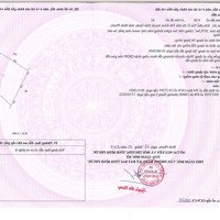 Bán Đất 4300M2 100M2 Thổ Cư Tại Đồng Ốc, Tân Khai, Hớn Quản, Bình Phước, Giá Bán 2,5 Tỷ