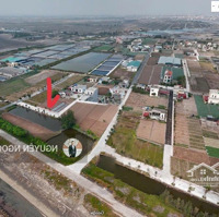 Bán Đất Sát Biển Quất Lâm 85M Chỉ Hơn 1 Tỷ Liên Hệ Em Ngay