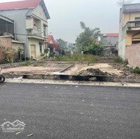 Bán Gấp Đất Nền 50M2 Tại Chỉ Đạo, Văn Lâm, Hưng Yên, Giá Cực Chất 1,65 Tỷ