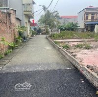 Bán Gấp Đất Nền 50M2 Tại Chỉ Đạo, Văn Lâm, Hưng Yên, Giá Cực Chất 1,65 Tỷ