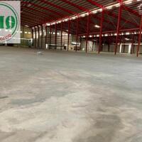 Bán và cho thuê 6,5 héc ta có xưởng 4,5ha ở Tân An, Long An