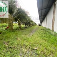 Bán và cho thuê 6,5 héc ta có xưởng 4,5ha ở Tân An, Long An