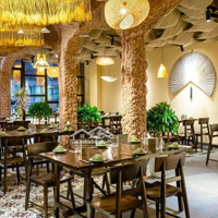 Cho Thuê Nhà Mặt Phố Ô Chợ Dừa, Diện Tích 50M X 3 Tầng, Mặt Tiền 6M, Kinh Doanh Mọi Mô Hình