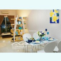 Bán Gấp Chcc 8X Plusdiện Tích67M2 , 2 Phòng Ngủ 2 Vệ Sinh, Giá Bán 2,45 Tỷ Q.12