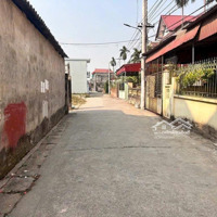Đất Đẹp Chính Chủ Bándiện Tích43.6M Tại Thôn Đình Trung, Xã Xuân Nộn, Đông Anh, Hà Nội
