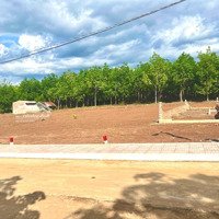 Đất Ngộp Mặt Tiền Đường Nhựa Lớn 5*45 Giá Bán 180 Triệu Sổ Hồng Sẵn, Có 100M2 Đất Thổ Cư