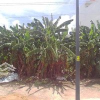 Bán Đất Cho Con Gái Đi Du Học, Giá Cực Đẹp, 47M2, Tân Liêm, Phong Phú, Bình Chánh, Shr, Full Thổ