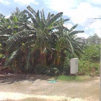 Bán Đất Cho Con Gái Đi Du Học, Giá Cực Đẹp, 47M2, Tân Liêm, Phong Phú, Bình Chánh, Shr, Full Thổ