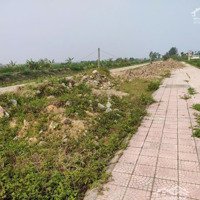 Bán Đất Đấu Giá Hồng Dũng - Thái Thụy - Thái Bình. Giá Bán 720 Triệu