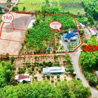 BÁN 3 LÔ 15X36=540M2 SHR, THỔ CƯ, NGAY THỊ TRẤN, SÁT CHỢ, GIÁ 550TR