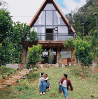 Bán Lô Đất Lô Góc 2 Mặt Đường Ven Suối Bằng Phẳngdiện Tích1350M2 Lô 2 Mặt Tiền Rộng 40M Vuông Vắn