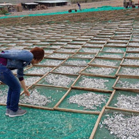 Nhà Máy Chế Biến Hải Sản Tuy Phong Bình Thuận