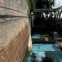 Hàng Ngộp !!! Mtd Võ Tấn Nhứt, Phú An Hòa, Châu Thành, Bến Tre. 155M2/ 330 Triệu. Shr, Full Thổ.