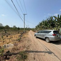 Hơn 9 Sào Đất Thuộc Xã Gia Kiệm. Cách Nhà Thờ Mới, Ngã 3 Hoàng Tầm 800M. Được 68M Mt. Giá 570 Triệu/Sào