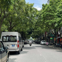 Giảm Chào 2 Tỷ,Tòa Nhà Buldinh 9 Tầng Thang Máy, Có Hầm Để Xe, Tại Mặt Phố Thiên Hiền, Diện Tích: 85M2,Vỉe Hè