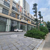 Bán Shophouse Lotus Central, Ngã 6 Tp Bắc Ninh Giá Bán 13,6 Tỷ Cho Thuê 500 Triệu/ Năm.