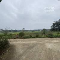 Bán Đất Tại Đường 87A, Ba Vì, Hà Nội, 1,8 Tỷ, 360M2 Hàng Hot