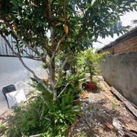 Giá Bán 3,7Tỷ Hẻm Củ Chi 4M-Hướng Đông- Vĩnh Hải- Nha Trang