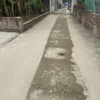 Hoa Hậu Của Tổ 9 Quang Minh Mê Linh