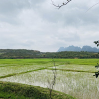 Cần Bán 3871M2 Tại Liên Sơn - Lương Sơn - Hoà Bình