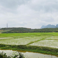 Cần Bán 3871M2 Tại Liên Sơn - Lương Sơn - Hoà Bình