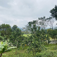Cần Bán 3871M2 Tại Liên Sơn - Lương Sơn - Hoà Bình