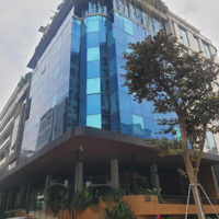 Hiếm! Tòa Building Mặt Phố Nguyễn Trãi, Mặt Tiền 11M, Dòng Tiền Đỉnh, Quận Thanh Xuân