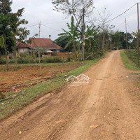 Chính Chủ Cần Bán Đất Phân Lô Tại Xóm Lục Yên Nghiệp Lạc Sơn Hoà Bình.diện Tích Hơn 100M Giá 280 Triệu