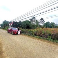 Đất Ven Khu Công Nghiệp - Đón Sóng Lên Đất Đô Thị - Giá Chỉ Từ 2Xx Triệu/Lô