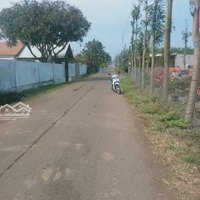 Bán Đất Khu Dân Cư Phước Hoà Phú Mỹ, Cách Đường S 150M, 242M2 Thổ Cư Liên Hệ: 0931222248