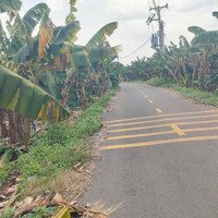 Bán 1200M2 Đất Cây Lâu Năm, Ngang 15M Mặt Tiền Nhựa, Xã Sông Thao