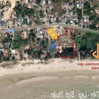 Khai Xuân Đầu Năm Bán Lỗ 5500M2(1200M2 Tc) Giáp Biển Tân Tiến - Lagi - Bt