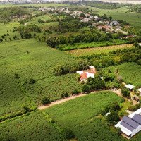 Gia Đình Cần Tiền Bán Lô Đất Thổ Cư, Trung Tâm Xã Sơn Thành Đông, Tây Hoà, Phú Yên