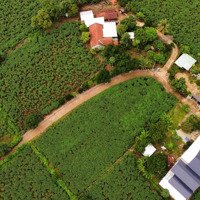 Gia Đình Cần Tiền Bán Lô Đất Thổ Cư, Trung Tâm Xã Sơn Thành Đông, Tây Hoà, Phú Yên