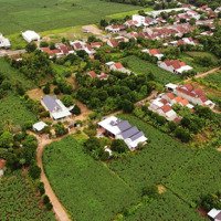 Gia Đình Cần Tiền Bán Lô Đất Thổ Cư, Trung Tâm Xã Sơn Thành Đông, Tây Hoà, Phú Yên