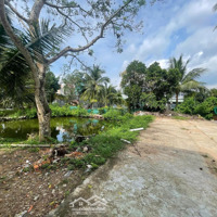 Cho Thuê Đất Trống 800M2 Tiện Kinh Doanh Mô Hình Sân Vườn, Kho Bãi.. Gần Kdt Stella Mega