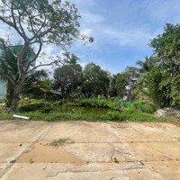 Cho Thuê Đất Trống 800M2 Tiện Kinh Doanh Mô Hình Sân Vườn, Kho Bãi.. Gần Kdt Stella Mega