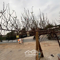 Bán Đất Đại Mỗ, Nam Từ Liêm, 43M, Ngõ Nông, 20M Ra Mặt Phố, 5.X Tỷ, 0971607248