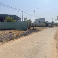 Bán Đất Tại Xã Lộ 25, Thống Nhất, Đồng Nai, Giá Bán 890 Triệu, Diện Tích 125M2, Đất Thổ Cư Đường Nhựa
